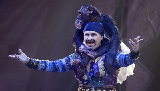 Цирк на воде «Царство фонтанов»