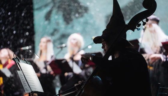 Nella Musica Orchestra. Гарри Поттер и СимфоМультимедия