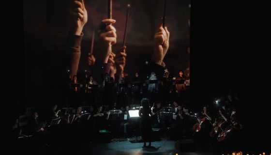 Nella Musica Orchestra. Гарри Поттер и СимфоМультимедия