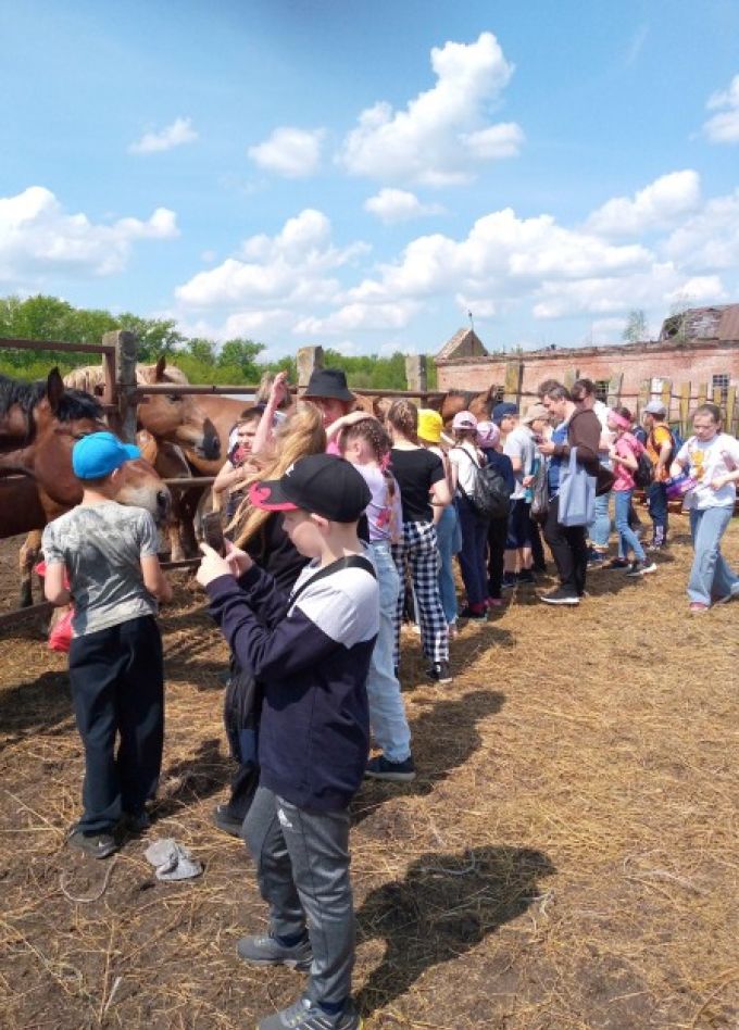 Страницы истории конного завода. Экскурсия