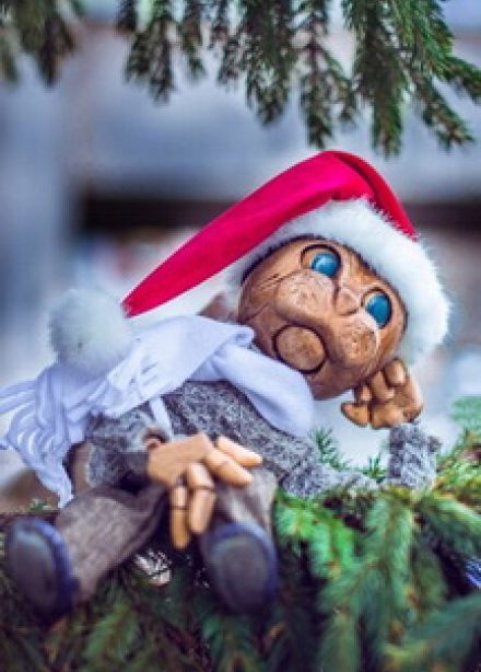 Новый год, Мороз и Кот