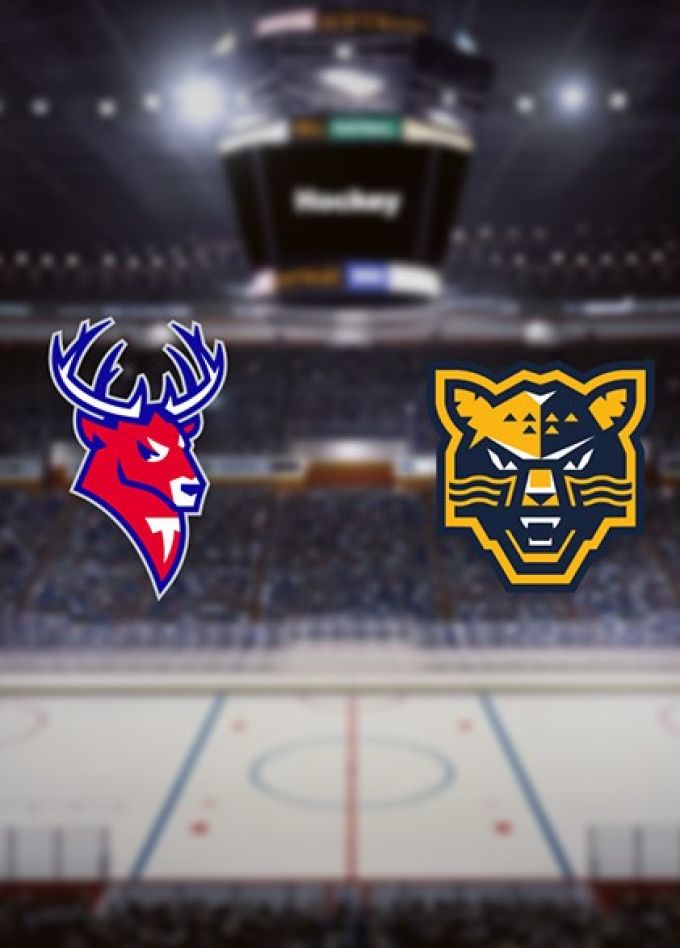 Хоккей. ХК «Торпедо» — ХК «Сочи»