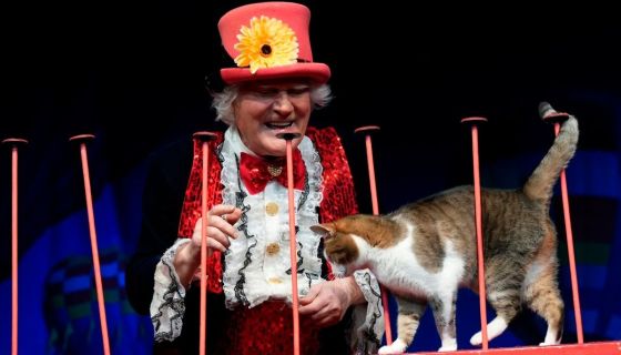 Театр кошек Юрия Куклачёва. Коты спасают мир