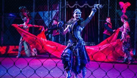 Цирк-шапито «Circusland». Шоу «Хищник и принцесса цирка», Выкса