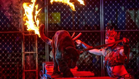 Цирк-шапито «Circusland». Шоу «Хищник и принцесса цирка», Выкса