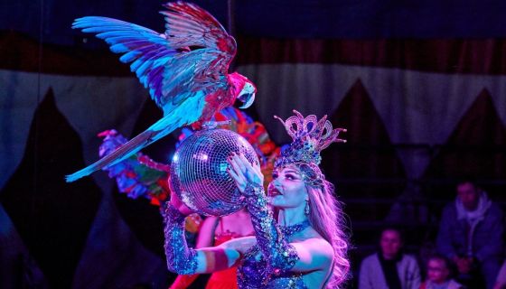 Цирк-шапито «Circusland». Шоу «Хищник и принцесса цирка», Выкса