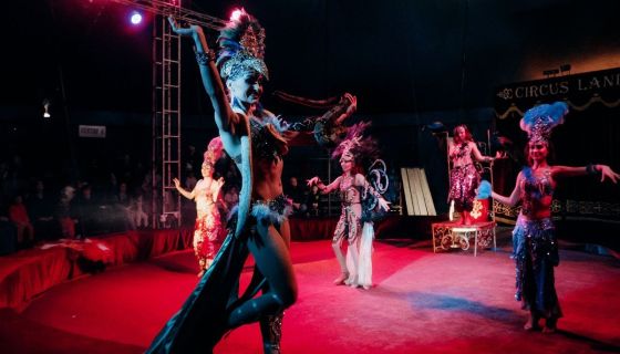 Цирк-шапито «Circusland». Шоу «Хищник и принцесса цирка», Выкса
