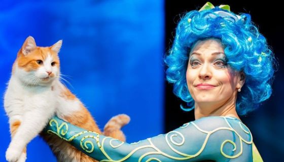 Театр кошек Юрия Куклачёва. Коты спасают мир, Дзержинск