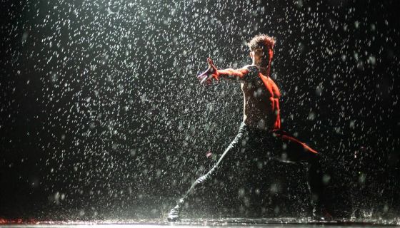 Шоу под дождём V. Признание в любви