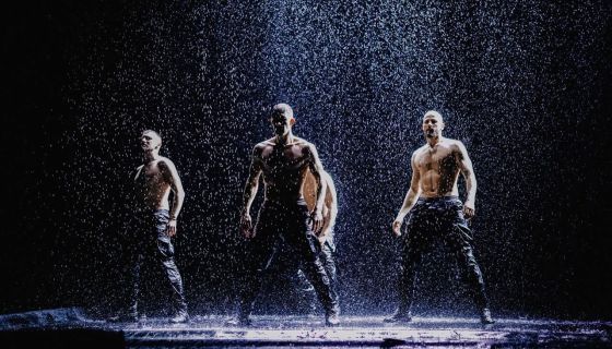 Шоу под дождём V. Признание в любви