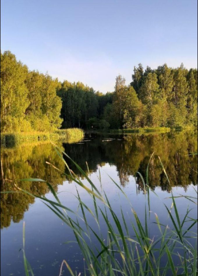 Люблю тебя, моя Россия! Программа