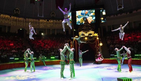 Цирковое шоу «Маска. Приключения ёлочных игрушек»