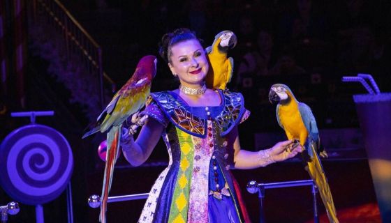 Цирковое шоу «Маска. Приключения ёлочных игрушек»