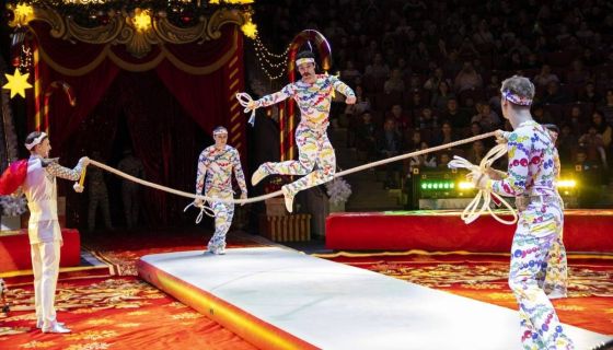 Цирковое шоу «Маска. Приключения ёлочных игрушек»