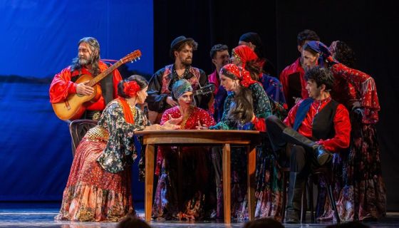 Мюзикл «Бесприданница»