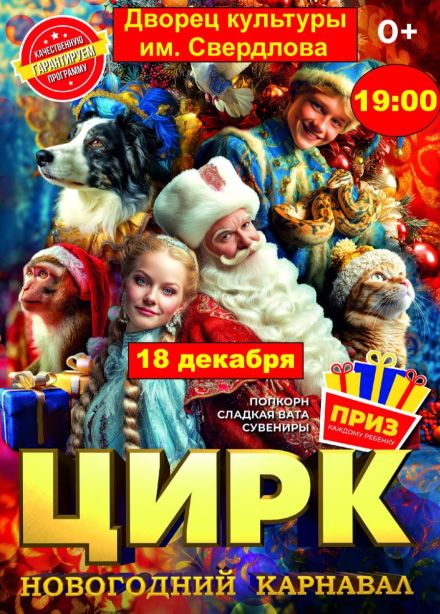 Цирк «Новогодний карнавал», Дзержинск