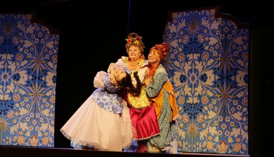 Спектакль «Не в свои сани не садись»