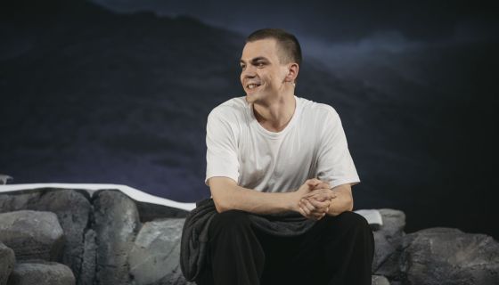 Спектакль «Дорогая Елена Сергеевна»