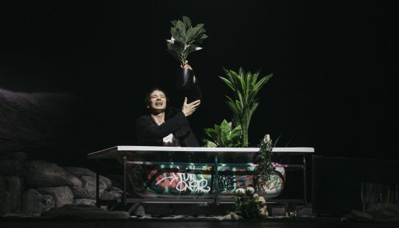 Спектакль «Дорогая Елена Сергеевна»