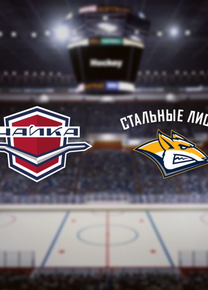 Чайка — Стальные Лисы