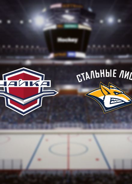 Чайка — Стальные Лисы