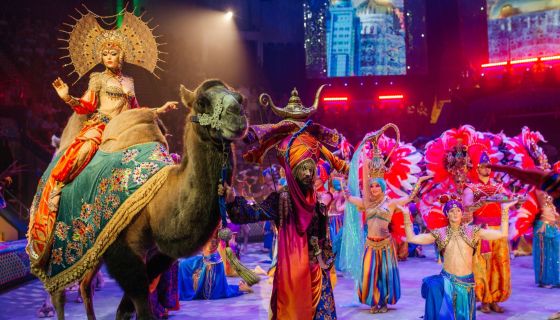 Цирковое шоу Гии Эрадзе «Песчаная сказка»