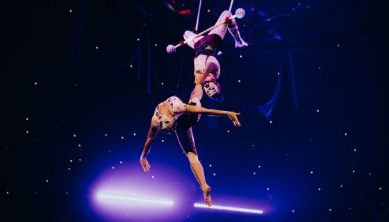 Цирковое шоу Гии Эрадзе «Песчаная сказка»