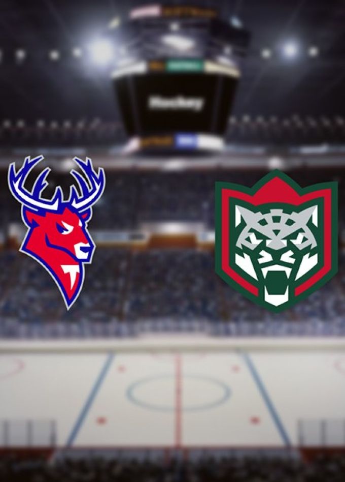 Хоккей. ХК «Торпедо» — ХК «Ак Барс»