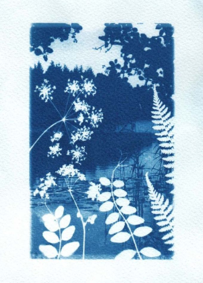 Цианотипия — ручная печать по методу XIX века: Мастер‑класс