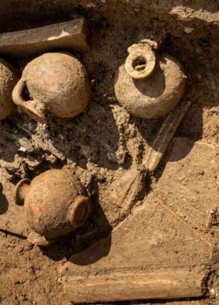 Путешествие в прошлое. Знаменитые археологические открытия. Цикл лекций