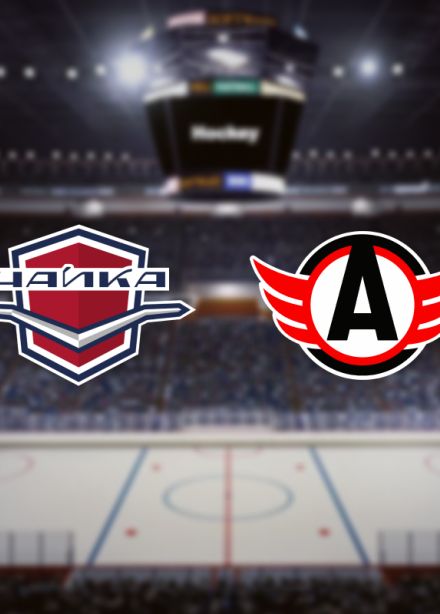 Чайка — Авто