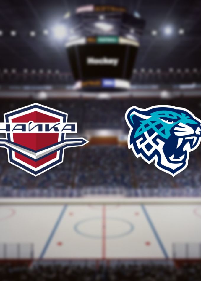 Чайка — Снежные Барсы