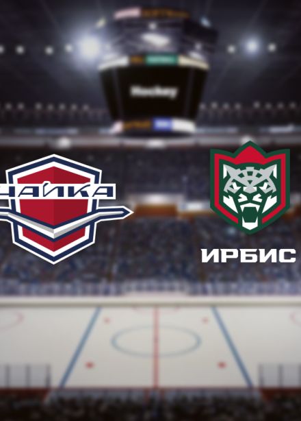 Чайка — Ирбис