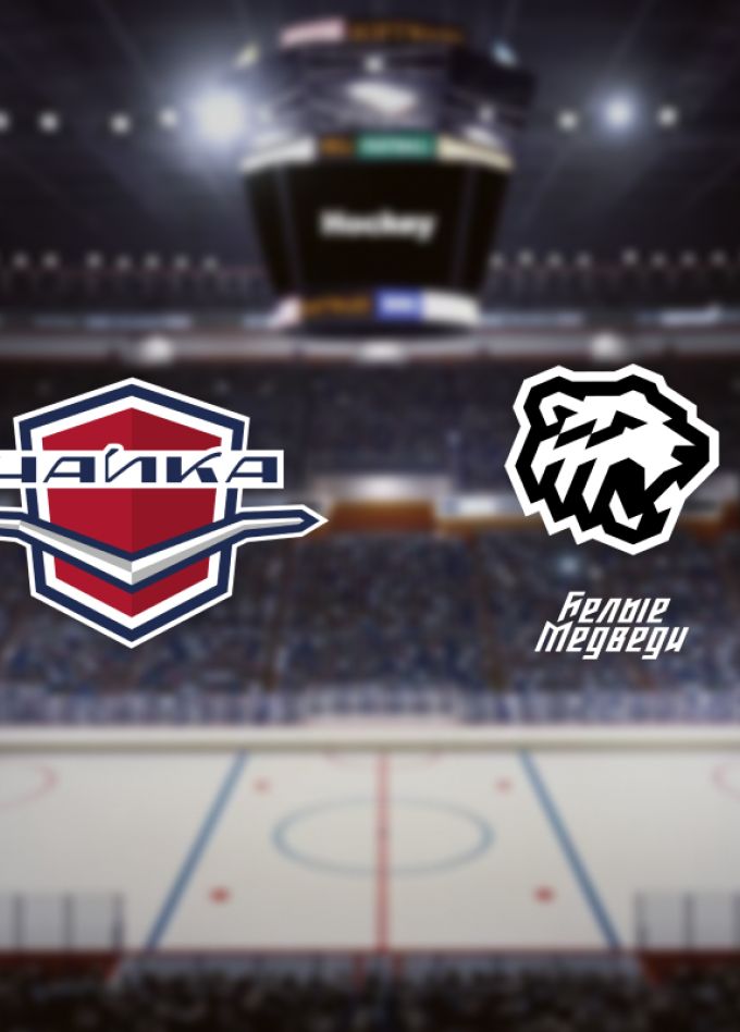 Чайка — Белые Медведи