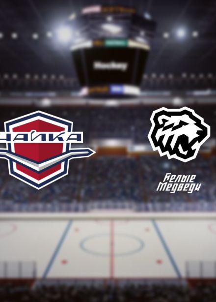 Чайка — Белые Медведи