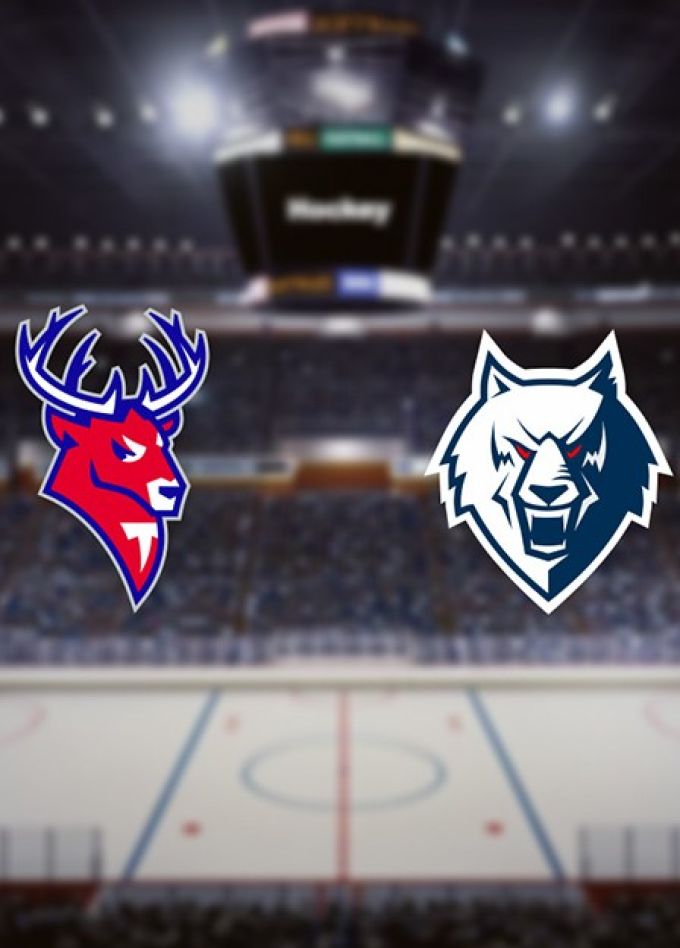 Хоккей. ХК «Торпедо» — ХК «Нефтехимик»