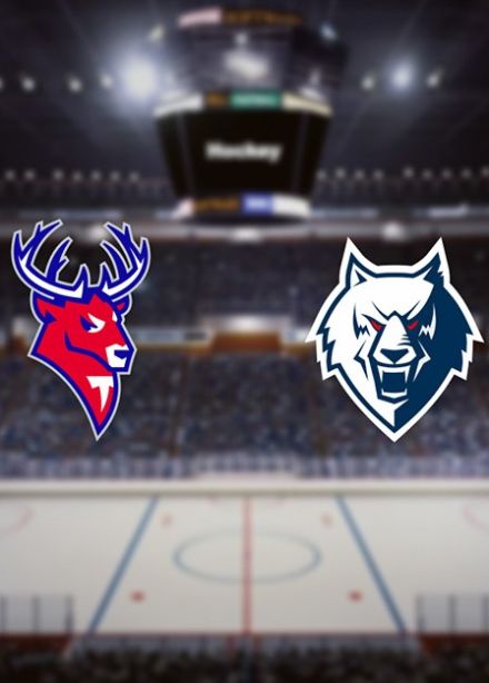 Хоккей. ХК «Торпедо» — ХК «Нефтехимик»