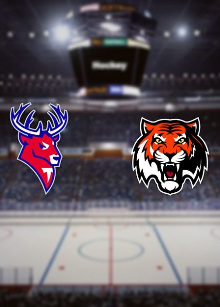 Хоккей. ХК «Торпедо» — ХК «Амур»