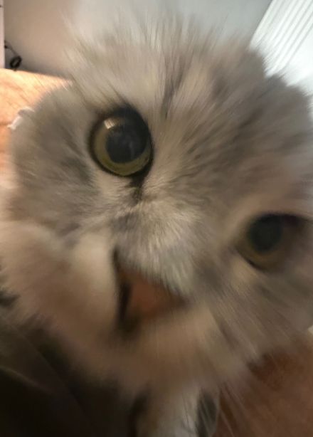 Благотворительный стендап