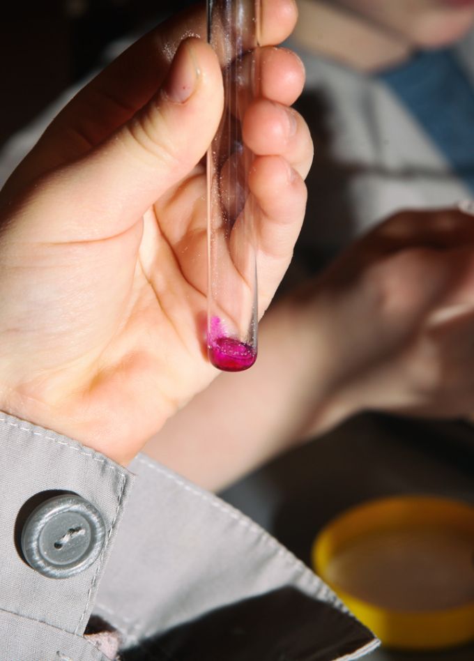 Научная программа «Следствие ведут учёные»