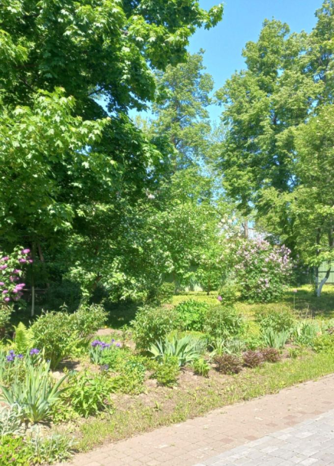 Игры в музейном дворике. Экскурсия