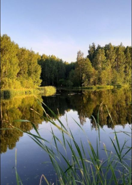 Люблю тебя, моя Россия! Программа