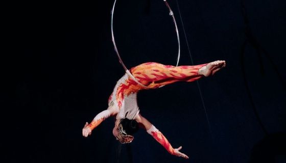 Цирк-шапито «Circusland». Шоу «Хищник и принцесса цирка», Арзамас