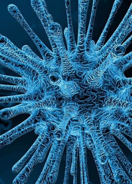 Секретные материалы