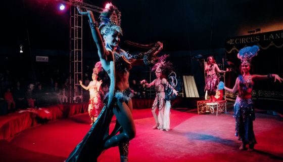 Цирк-шапито «Circusland». Шоу «Хищник и принцесса цирка», Саров