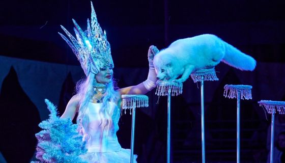 Цирк-шапито «Circusland». Шоу «Хищник и принцесса цирка», Саров