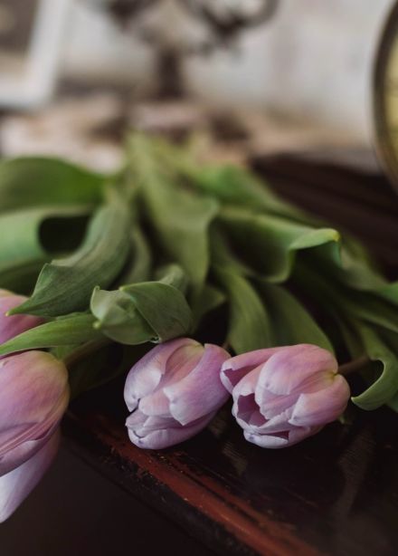 Дела сердечные. Эпоха балов и маскарадов