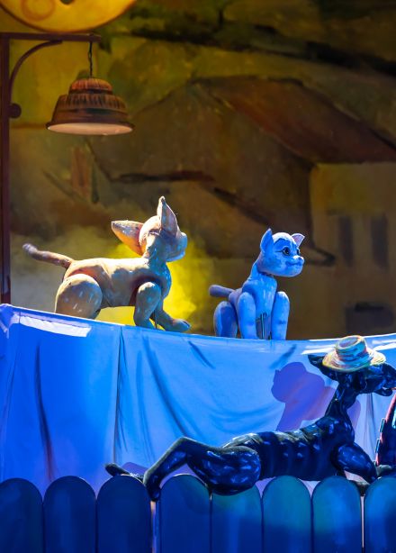 Котёнок по имени Гав