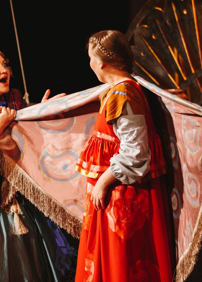 Финист Ясный Cокол