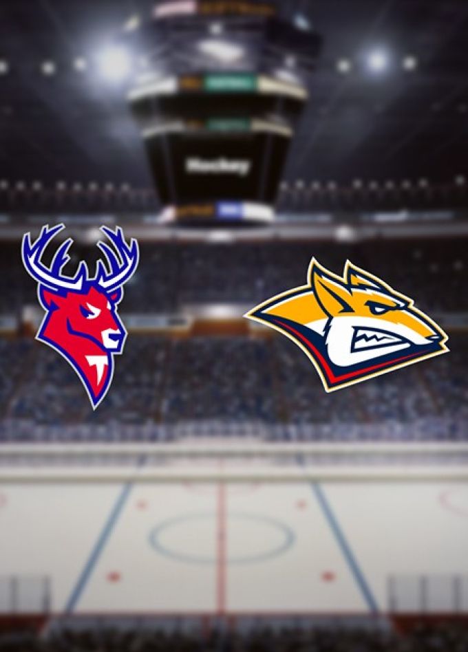 Хоккей. ХК «Торпедо» — ХК «Металлург Мг»